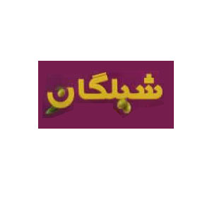 شیلگان