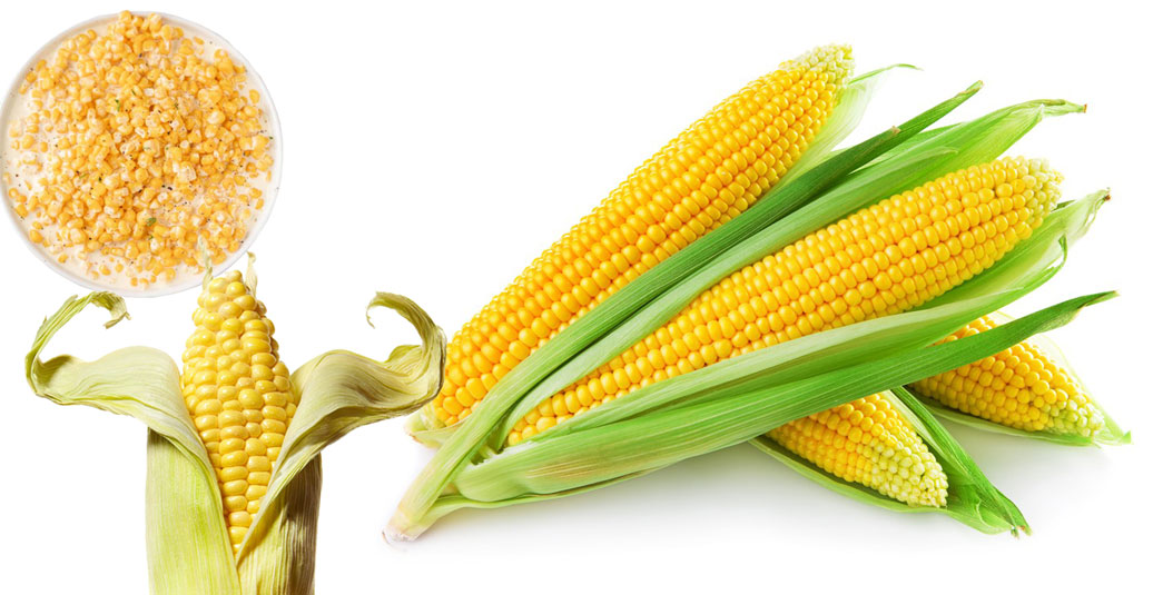 خواص ذرت برای سلامتی بدن