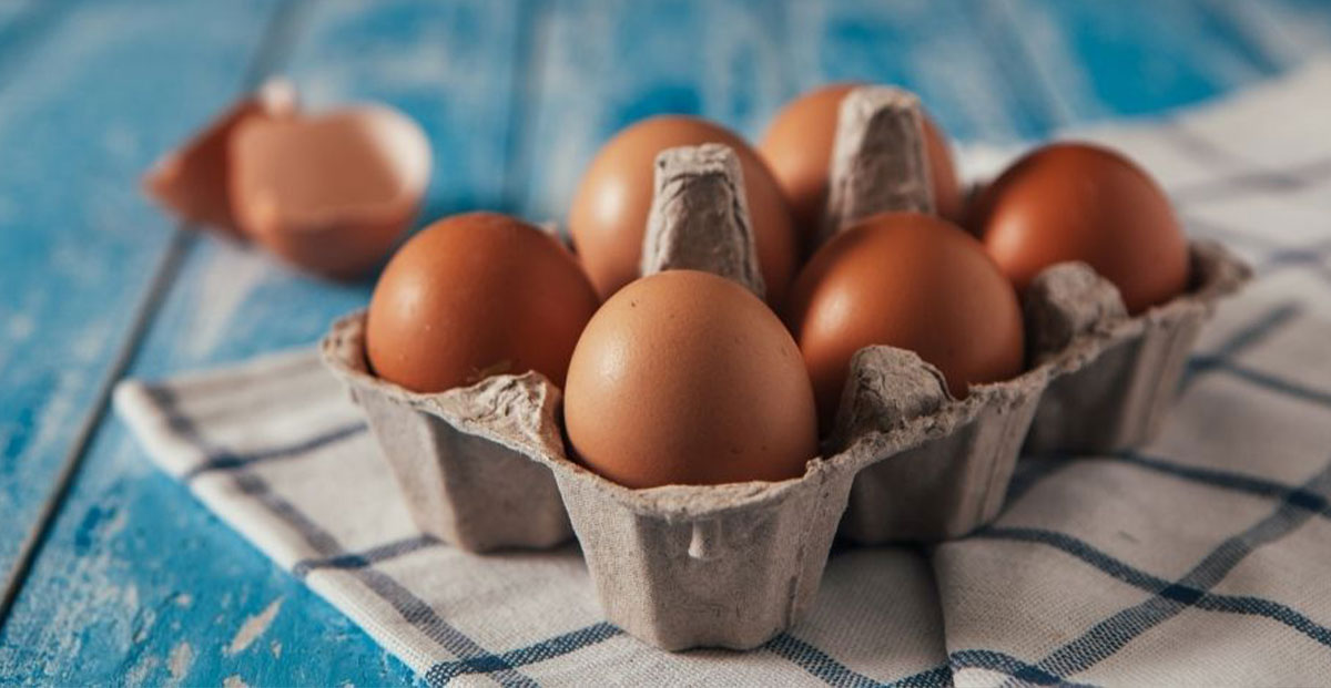 فواید و خواص تخم مرغ برای سلامتی بدن