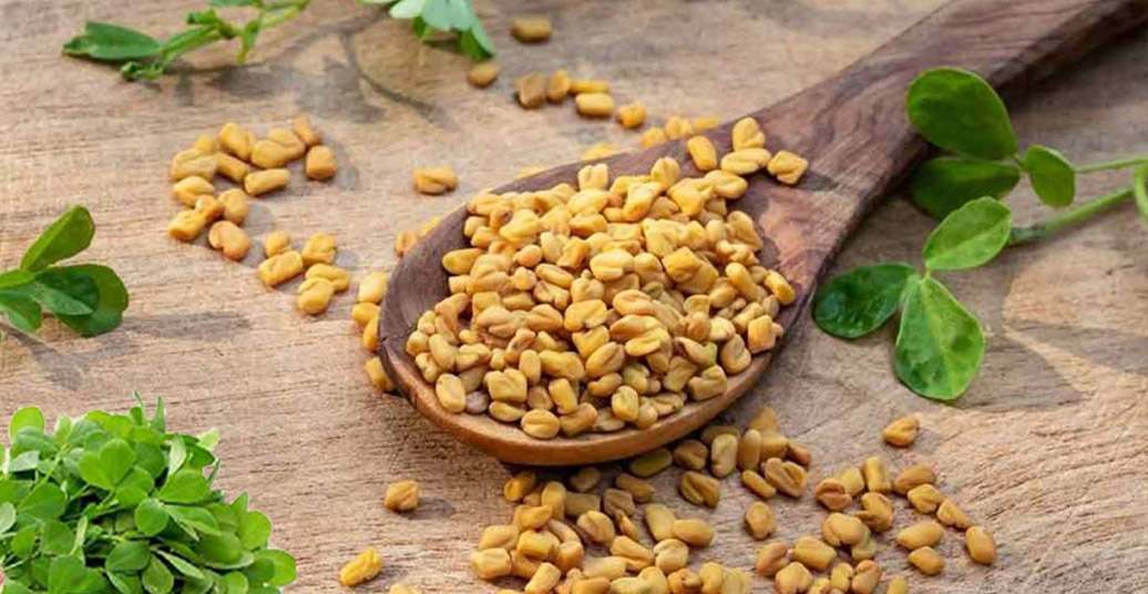 دمنوش شنبلیله و خواص دارویی این گیاه