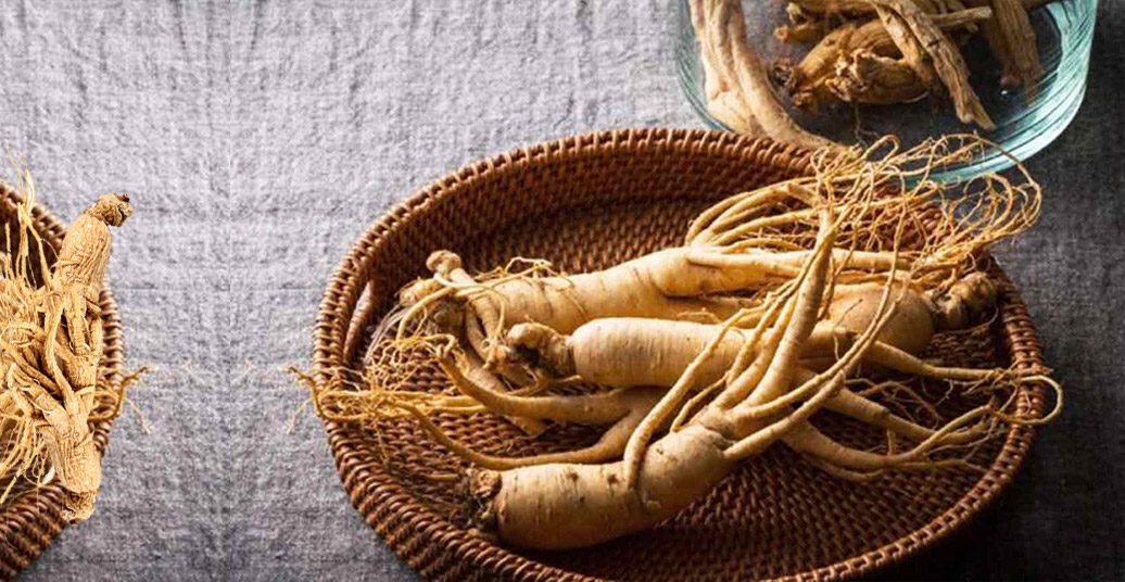 دمنوش گیاهی جنسینگ مخصوص رفع خستگی