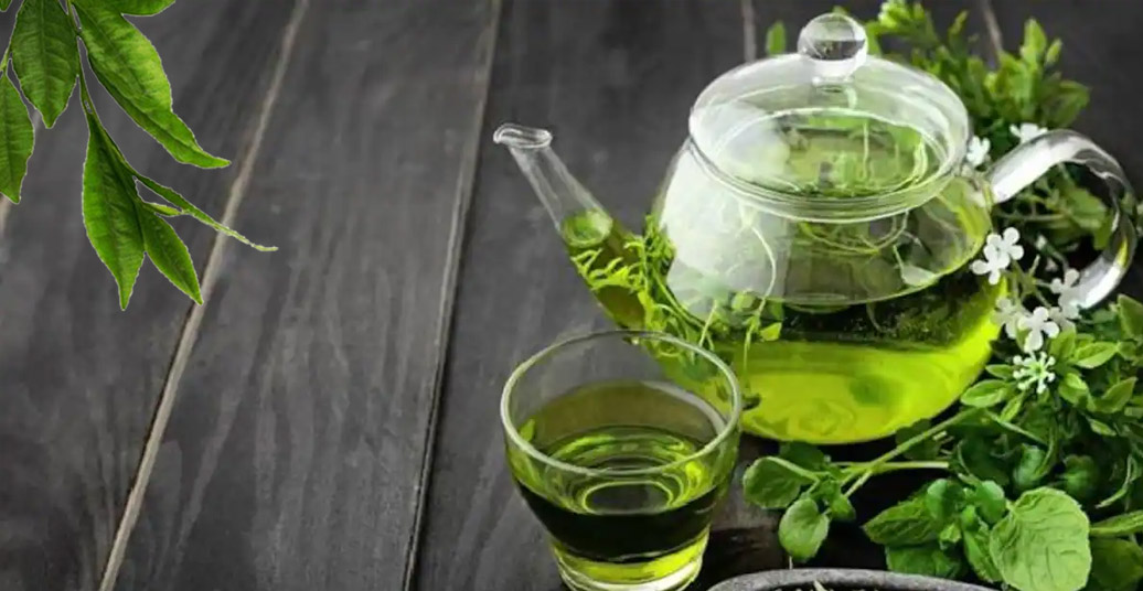 دمنوش چای سبز و آشنایی کامل با خواص دارویی آن