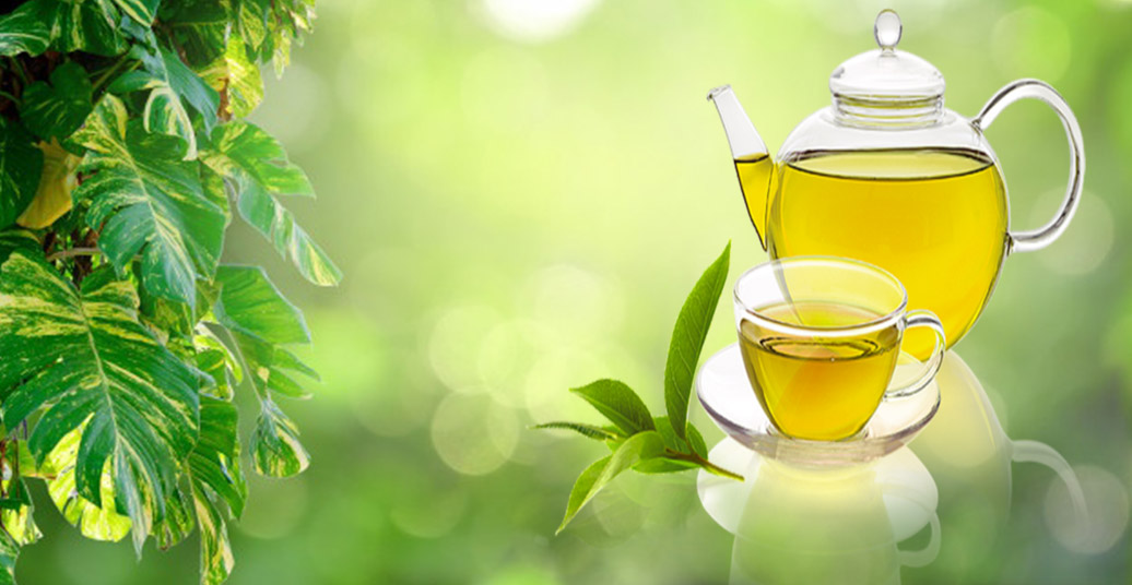 انواع دمنوش های گیاهی و خواص درمانی معجزه گر آن ها