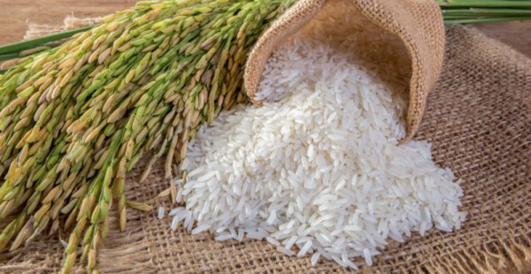 معرفی برنج و دانستنی های مربوط به خواص آن