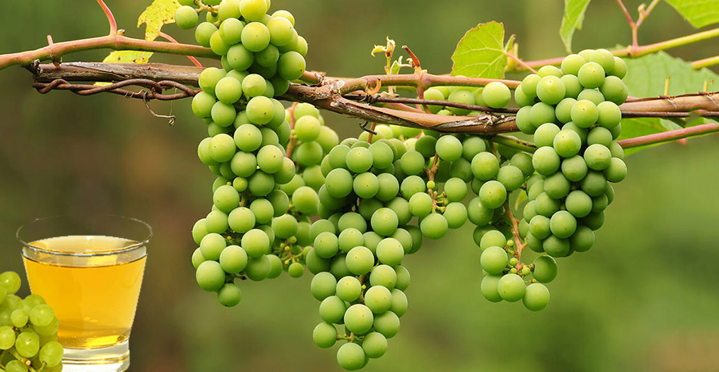 خواص آبغوره برای پوست