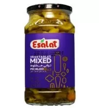 ترشی مخلوط اصالت ۵۷۰ گرمی