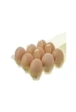 تخم مرغ محلی کاسپین 9 عددی