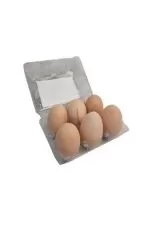 تخم مرغ محلی ۲ زرده انرژی ۶ عددی