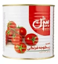 رب گوجه فرنگی بیژن قوطی ۸۰۰ گرمی