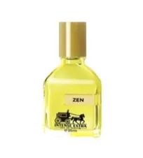 اینتنس اکسترا عطر با رایحه ZEN حجم ۲۵ میل