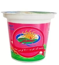بشیر ماست کم چرب ۷۰۰ گرم
